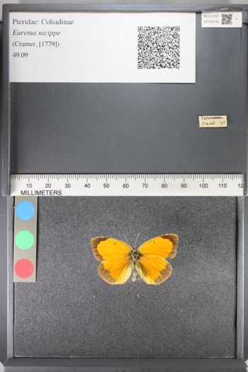 Media type: image;   Entomology 120143